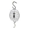 SALTER Pvc Hanging Scale - 2356S