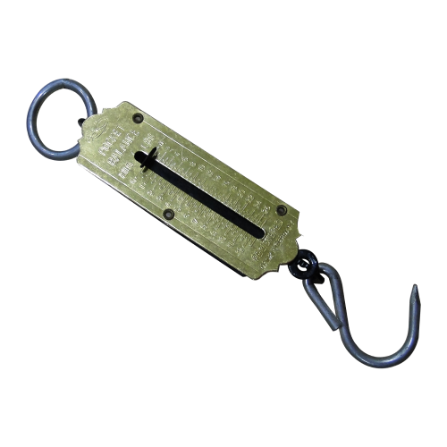 FISH Germany Portable Scale - GPS