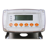 RINSTRUM Electronic Waterproof Smart Weighing Indicator - X320
