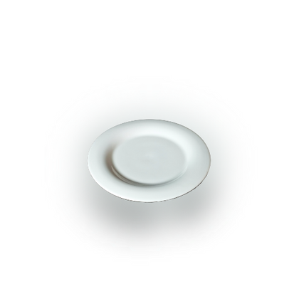 Round Porcelain Plate - 13C070016.5