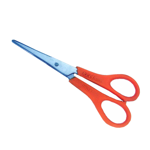 Chef School Scissor - 5TN