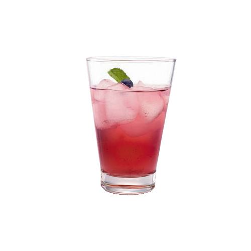 Ocean Glass Studio Series Long Drink - IB16115