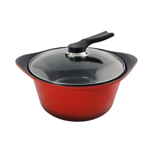 SKK Germany Aluminum Die Cast Stock Pot with Glass Lid - SHO24STP