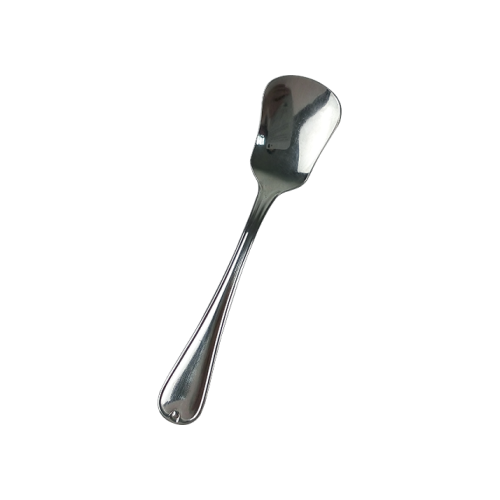 Stainless Steel Ice Cream Spoon - JNP18