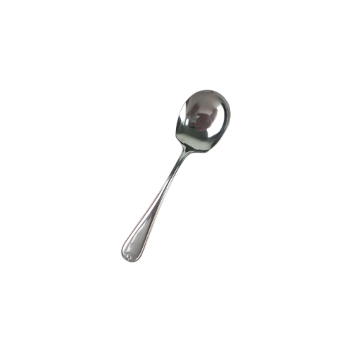 Stainless Steel Serving Spoon - JNP22